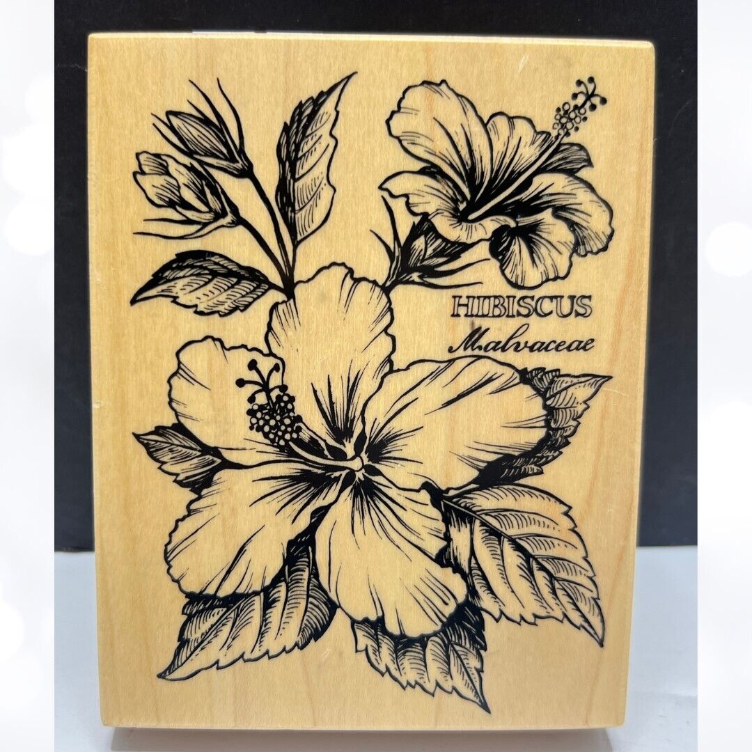 PSX HIBISCUS Botanical Flower Floral K-1561 Rubber Stamp