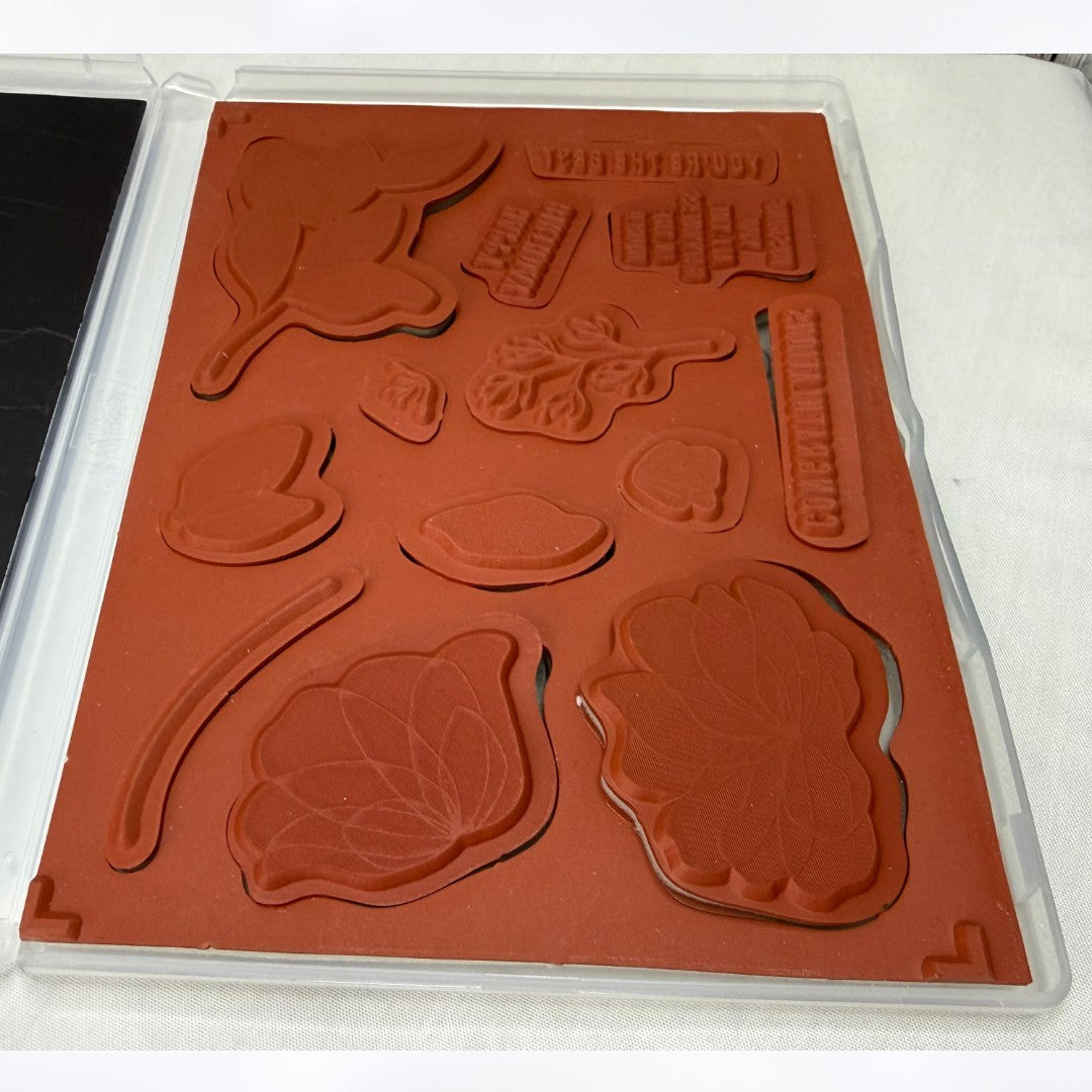Stampin TRANSLUCENT FLORALS Flowers Rubber Stamps Dies