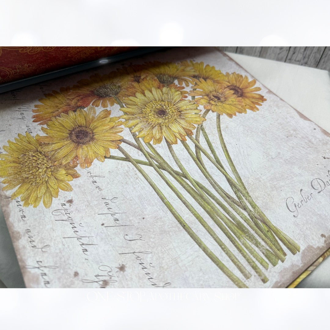 K & Company COTTAGE GARDEN Floral Dreams 12x12 Scrapbook Cardstock Paper Lot