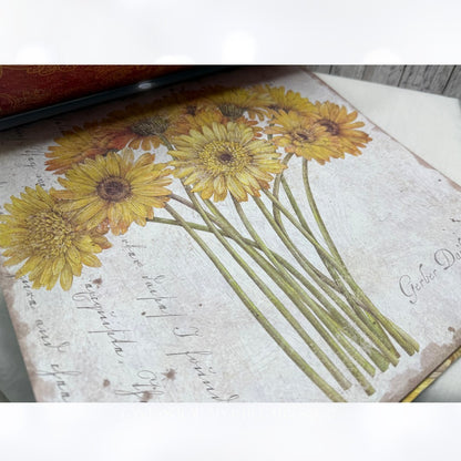 K & Company COTTAGE GARDEN Floral Dreams 12x12 Scrapbook Cardstock Paper Lot