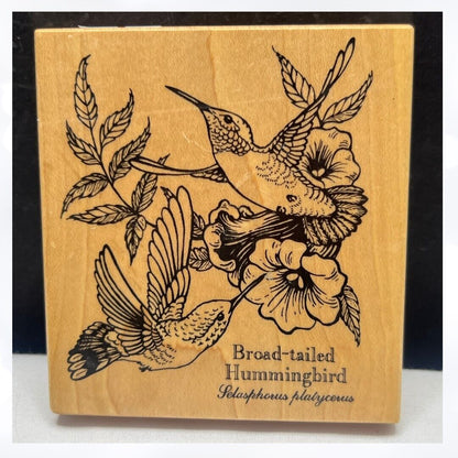 PSX HUMMINGBIRD Bread Tailed Bird Birds K-1464 Rubber Stamp