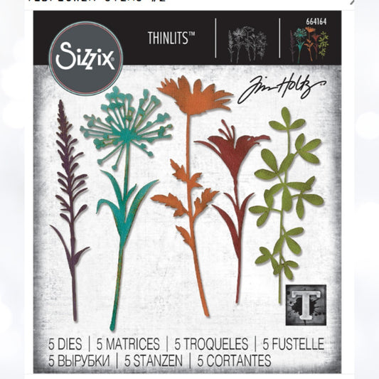 Tim Holtz WILDFLOWER STEMS 2 Flowers 664164 Thinlits Dies