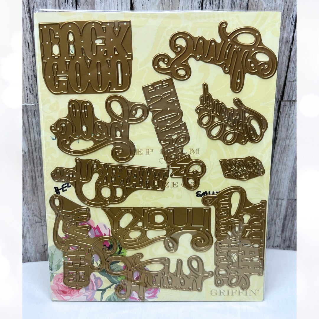 Anna Griffin SENTIMENTS Luck Get Well Hello Birthday Dies Lot of 11