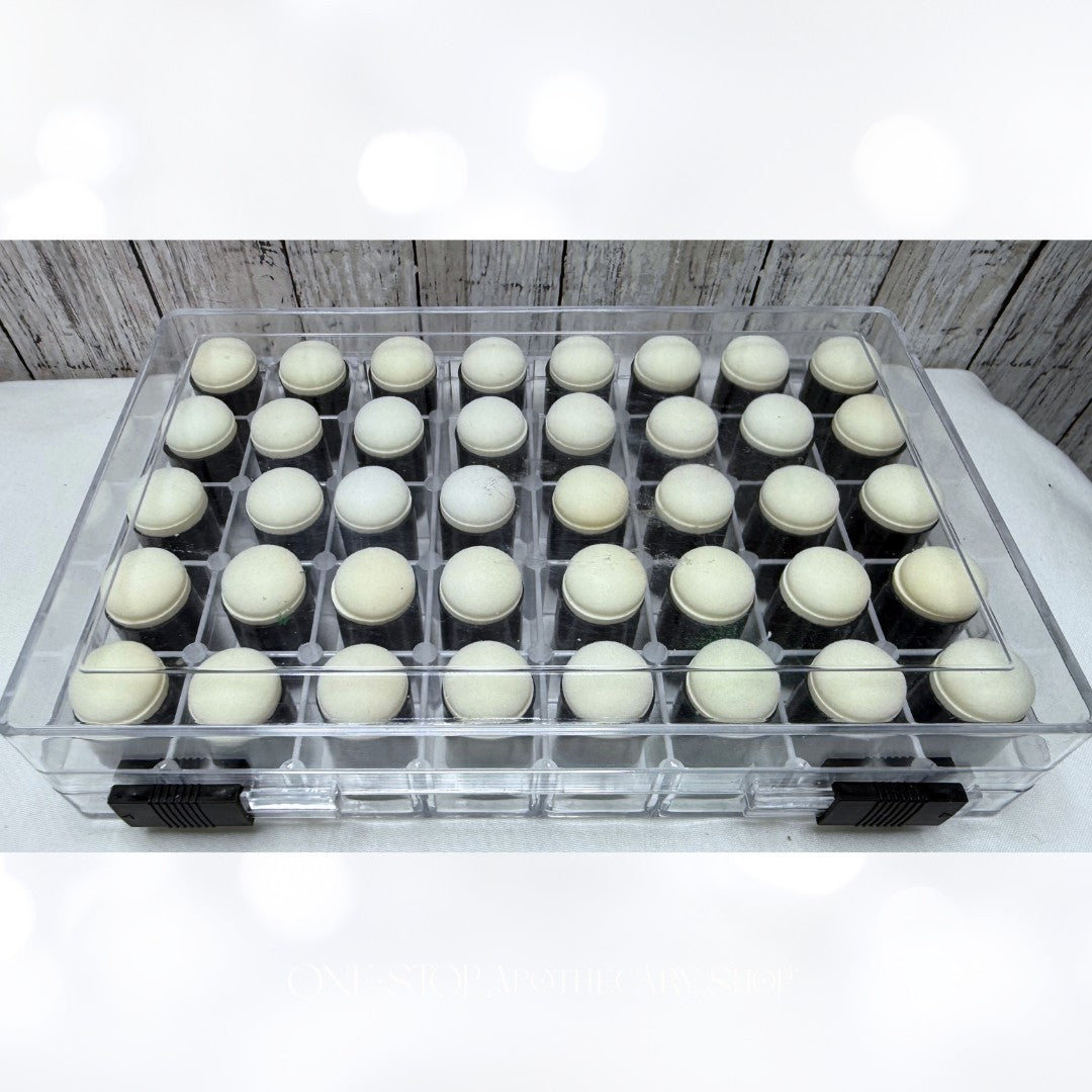 SPONGE DAUBERS Ink Blending Tools Case Holder Set of 70