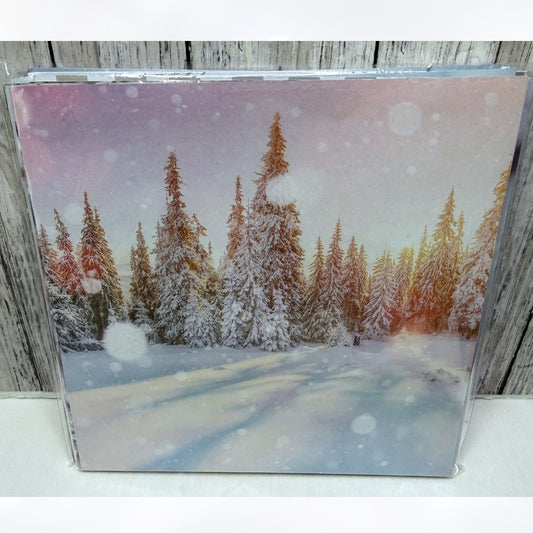 Stampin Up FEELS LIKE FROST 6x6 Christmas DSP Cardstock Paper 48 Sheets