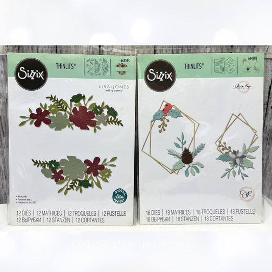 Sizzix WILD BLOSSOM BORDERS Geometric Winter Frame Thinlits Dies