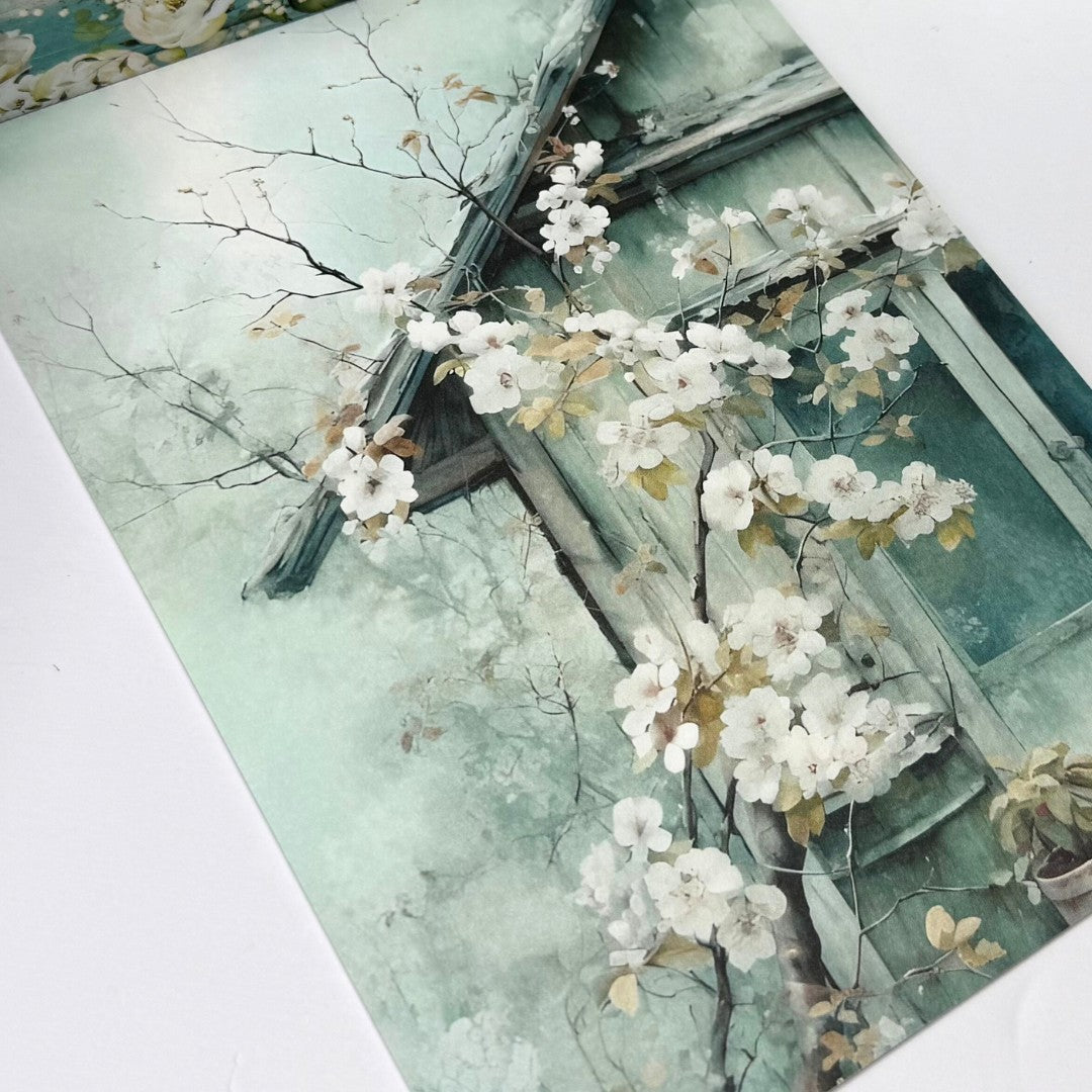 Mintay WINGED MELODIES Birds 12x12 6x8 Paper Die Cuts Collection