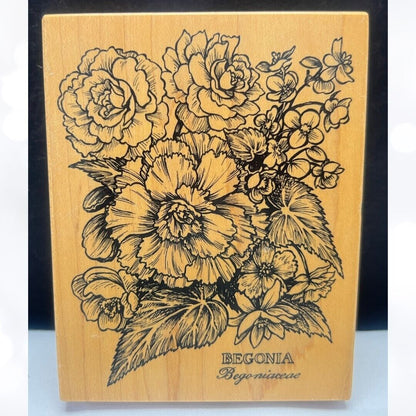 PSX BEGONIA Flowers Botanical Floral K-2289 Rubber Stamp Rare