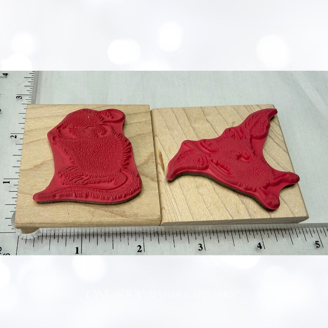 House Mouse MICE LANDING Amanda Points Mice Rubber Stamps Set of 2