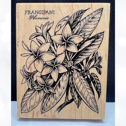 PSX FRANGIPANI Botanical Flowers Floral K-1612 Rubber Stamp Rare