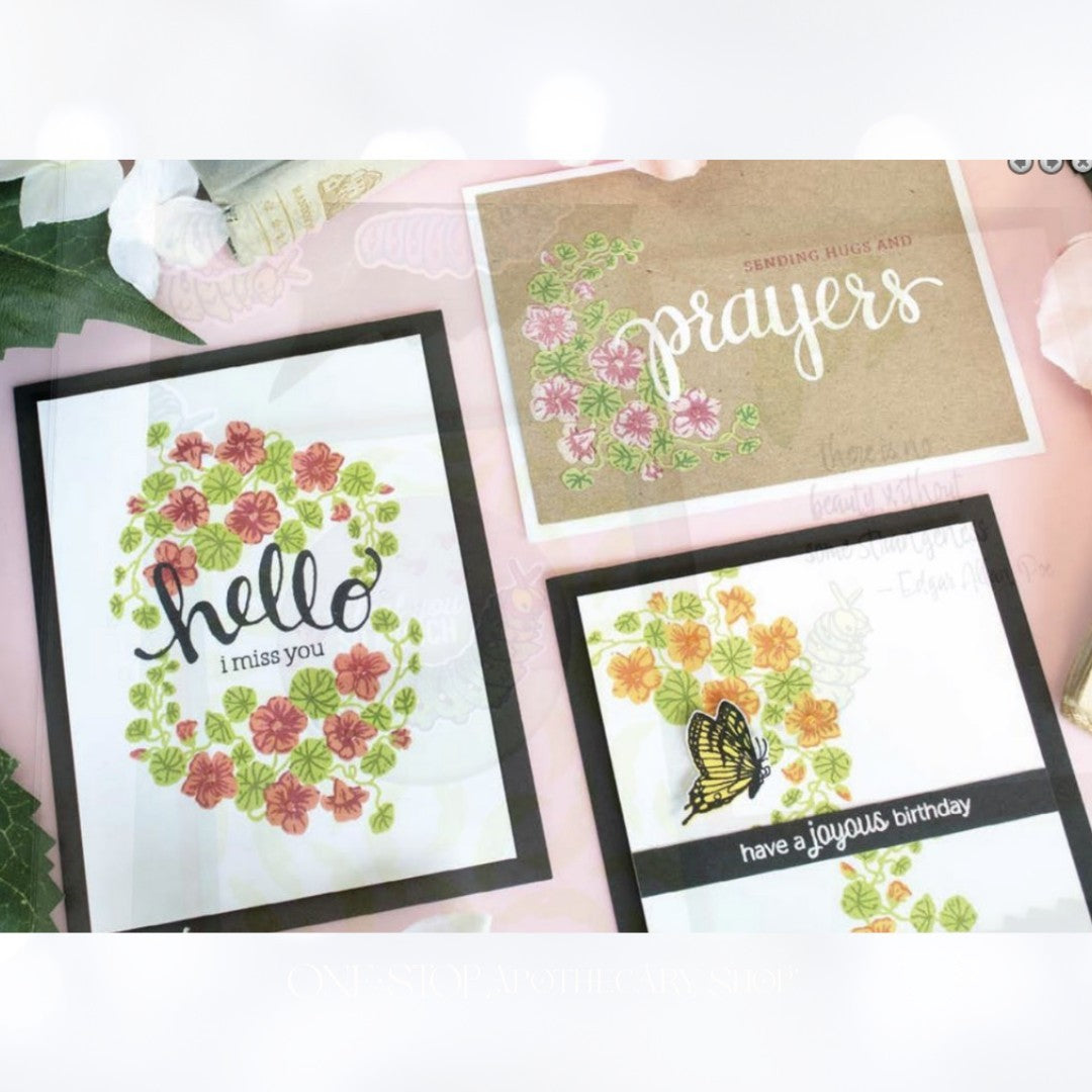 Hero Arts NASTURTIUM Color Layering Flowers Butterfly Rubber Stamps Dies