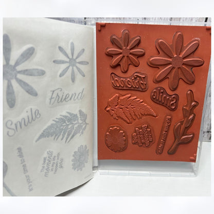 Stampin Up DAISY LANE Daisies Flowers Rubber Stamps Punch