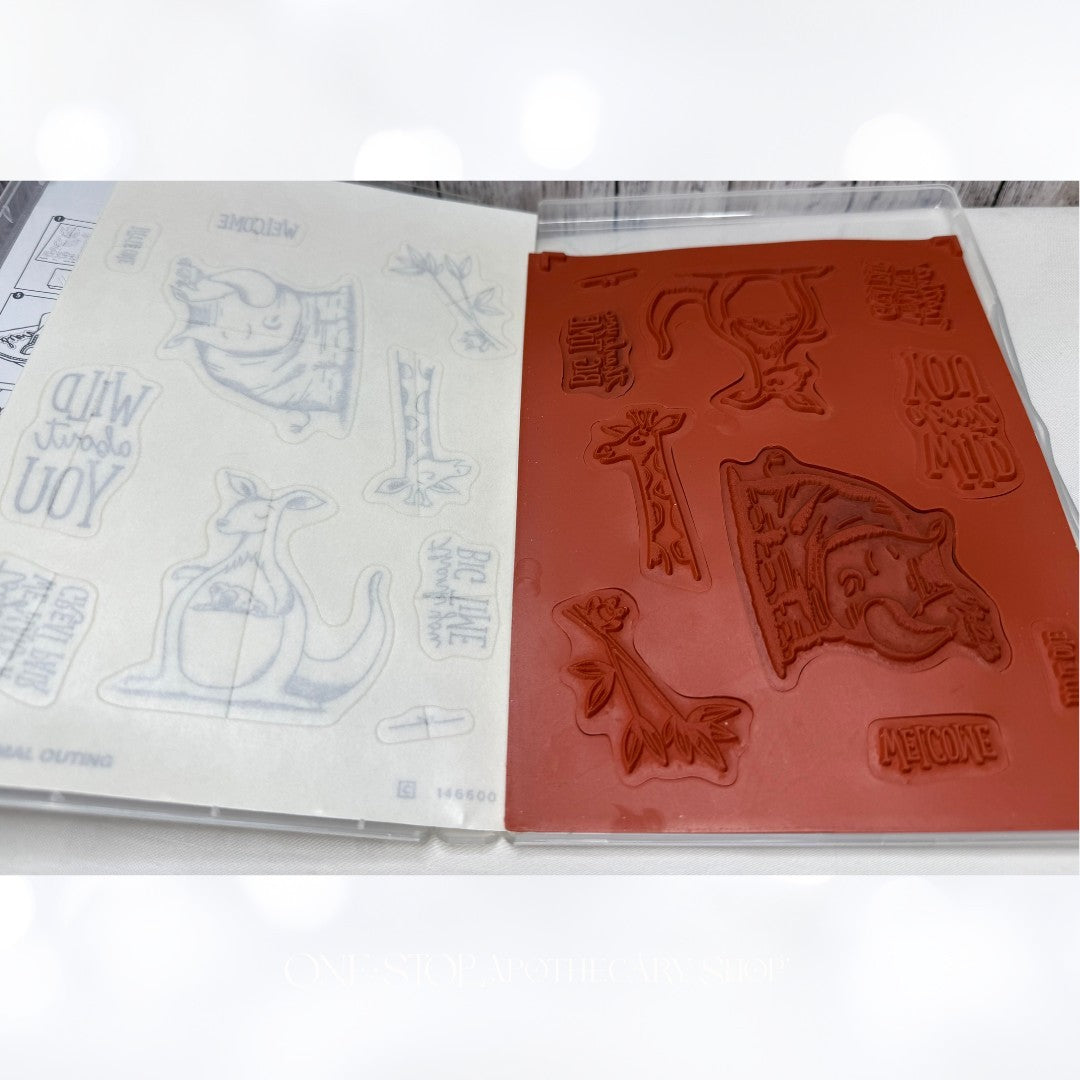 Stampin Up ANIMAL OUTING Friends Zoo Rubber Stamps Thinlits Dies
