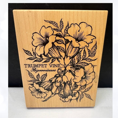 PSX TRUMPET VINE Botanical Floral Flowers K-1357 Rubber Stamp Rare