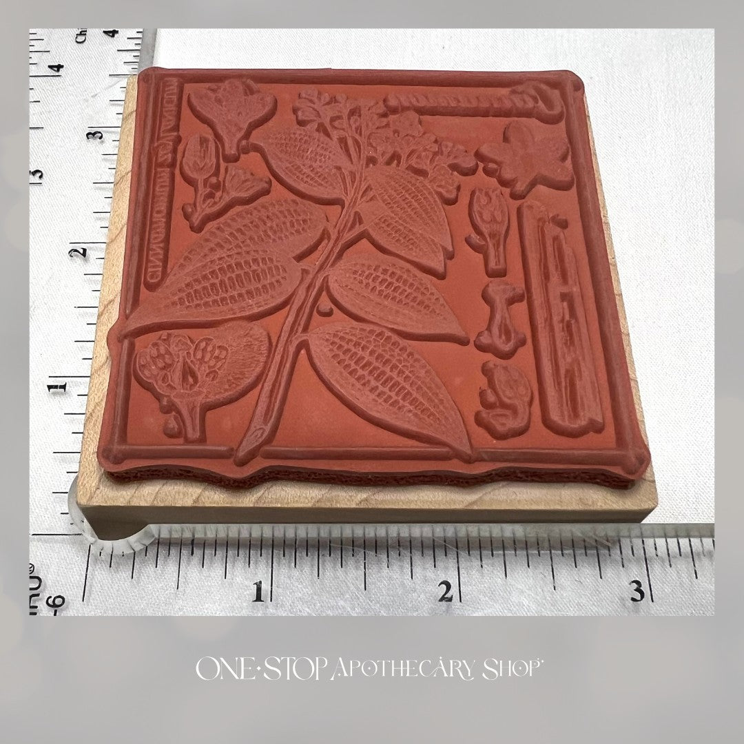 PSX CINNAMON Botanical G-3616 Rubber Stamp