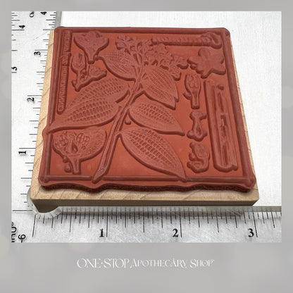 PSX CINNAMON Botanical G-3616 Rubber Stamp