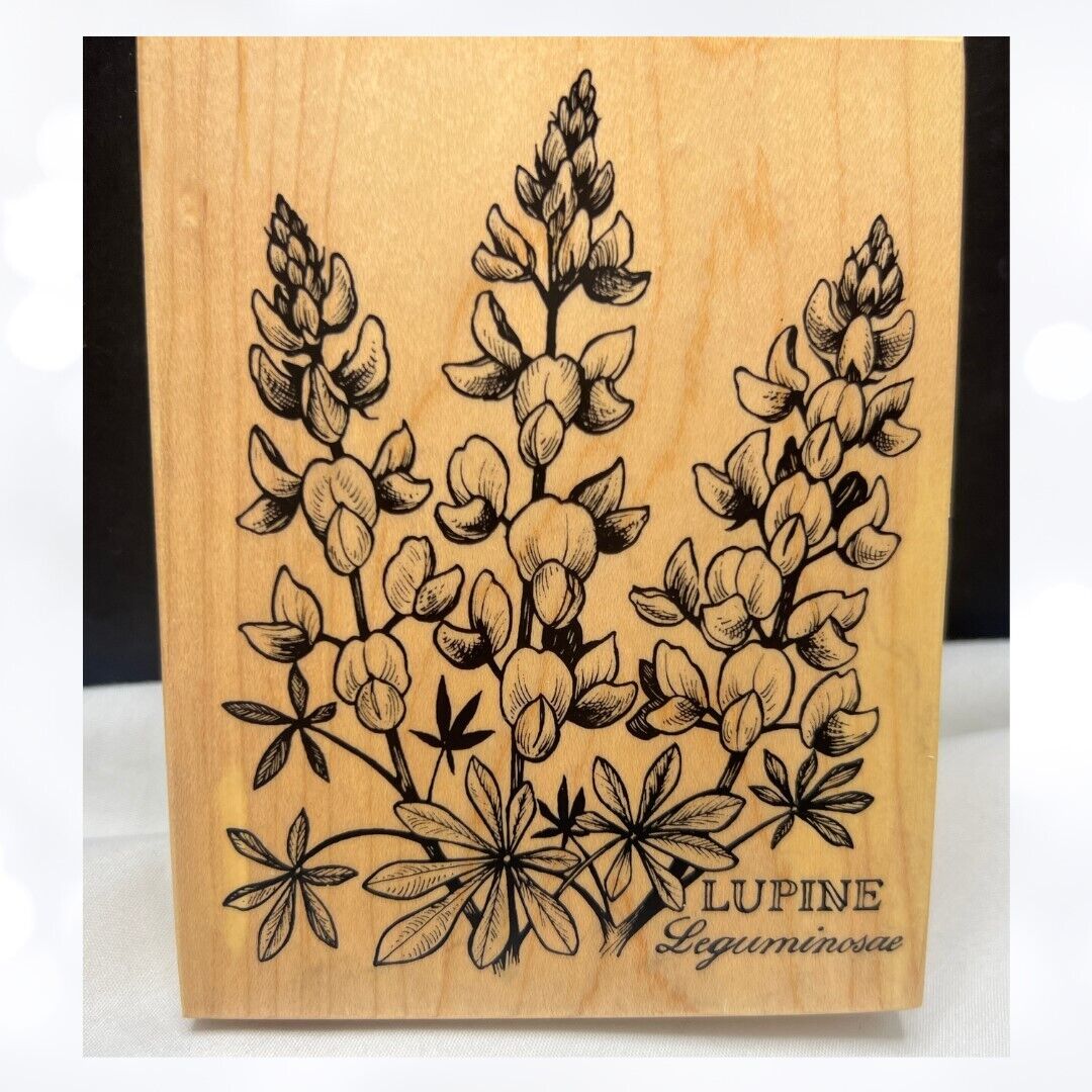 PSX LUPINE Botanical Flowers Floral K-1707 Rubber Stamp Rare