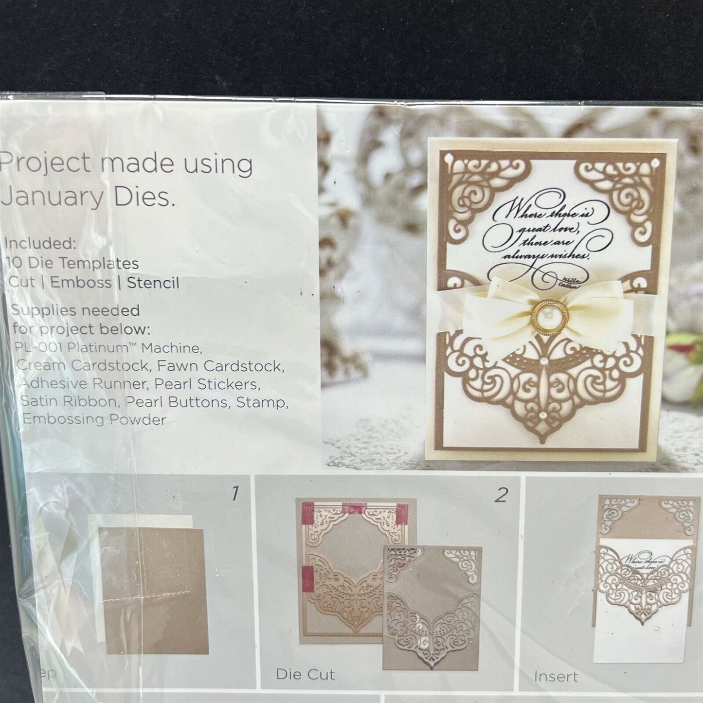 Spellbinders DIE OF THE MONTH Paper Grace January 2019 Dies