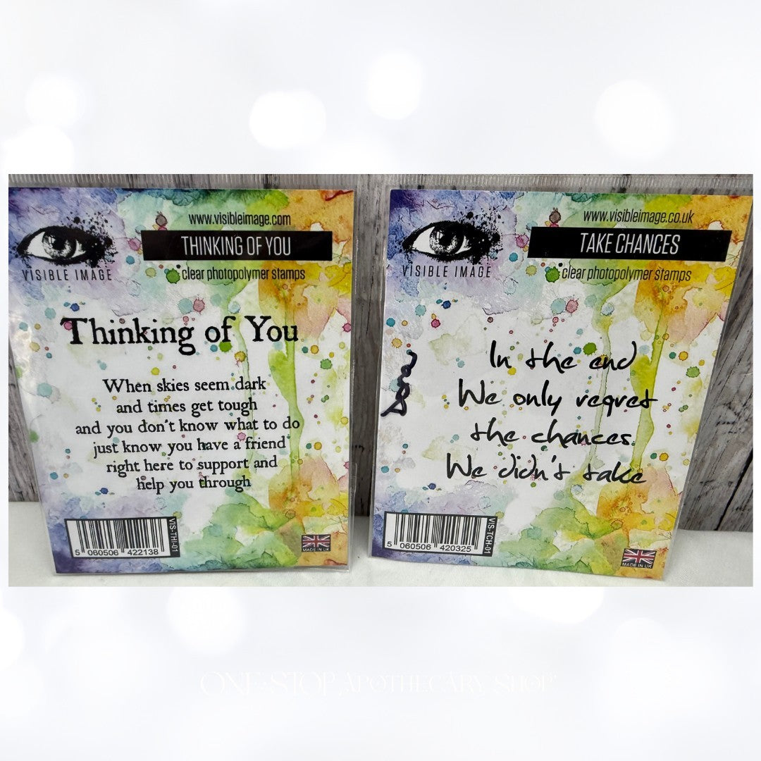 Visible Image LAUGH CHANCES Daughter Mixed Media Sentiments Quotes Rubber Stamps