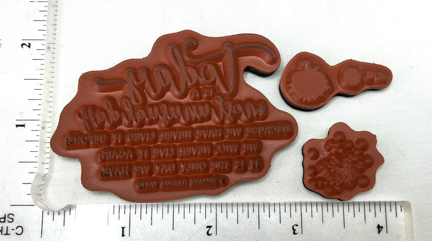 Unity Stamps UNUSUAL DAY POPPY Flower Poppies Floral Rubber Stamps Set