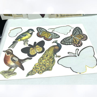 Anna Griffin ALL ABOUT BIRDS & Butterflies Butterfly Die Cuts Embellishments