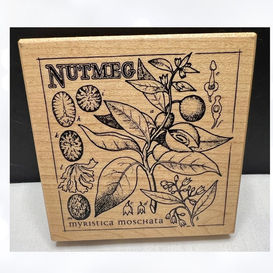 PSX NUTMEG Botanical G-3615 Rubber Stamp Rare