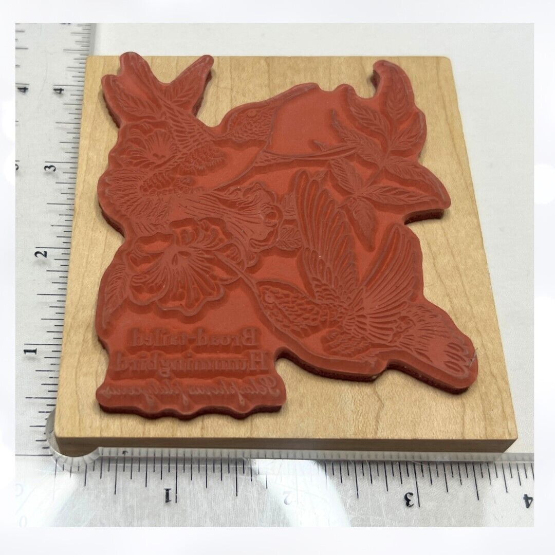 PSX HUMMINGBIRD Bread Tailed Bird Birds K-1464 Rubber Stamp