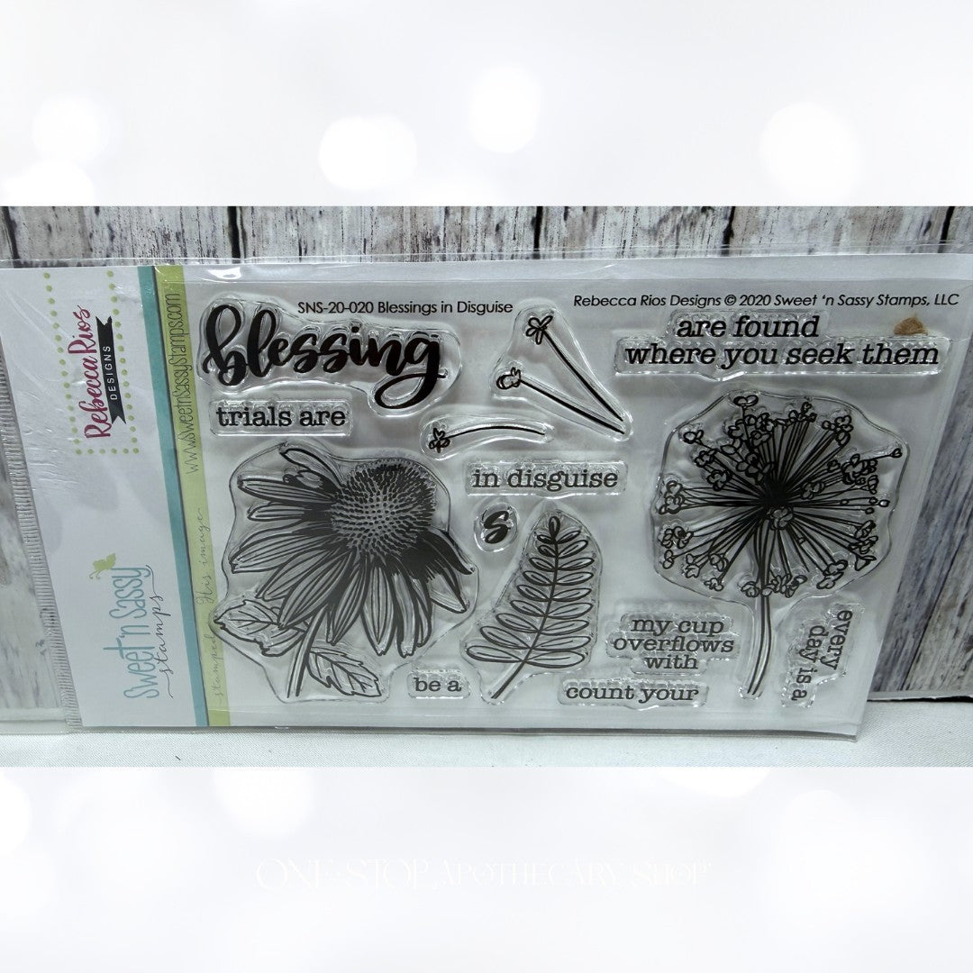 Sweet N Sassy BLESSINGS IN DISGUISE Bible Journaling Religious Rubber Stamps