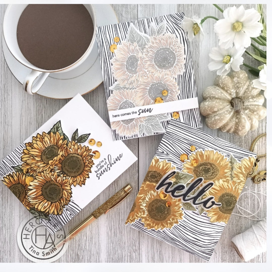 My Hero Arts Kit SUNFLOWERS Autumn Fall Rubber Stamps Dies Stencils Sept 2021
