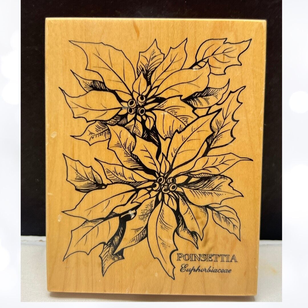 PSX POINSETTIA Botanical Flowers Floral Christmas K-784 Rubber Stamp