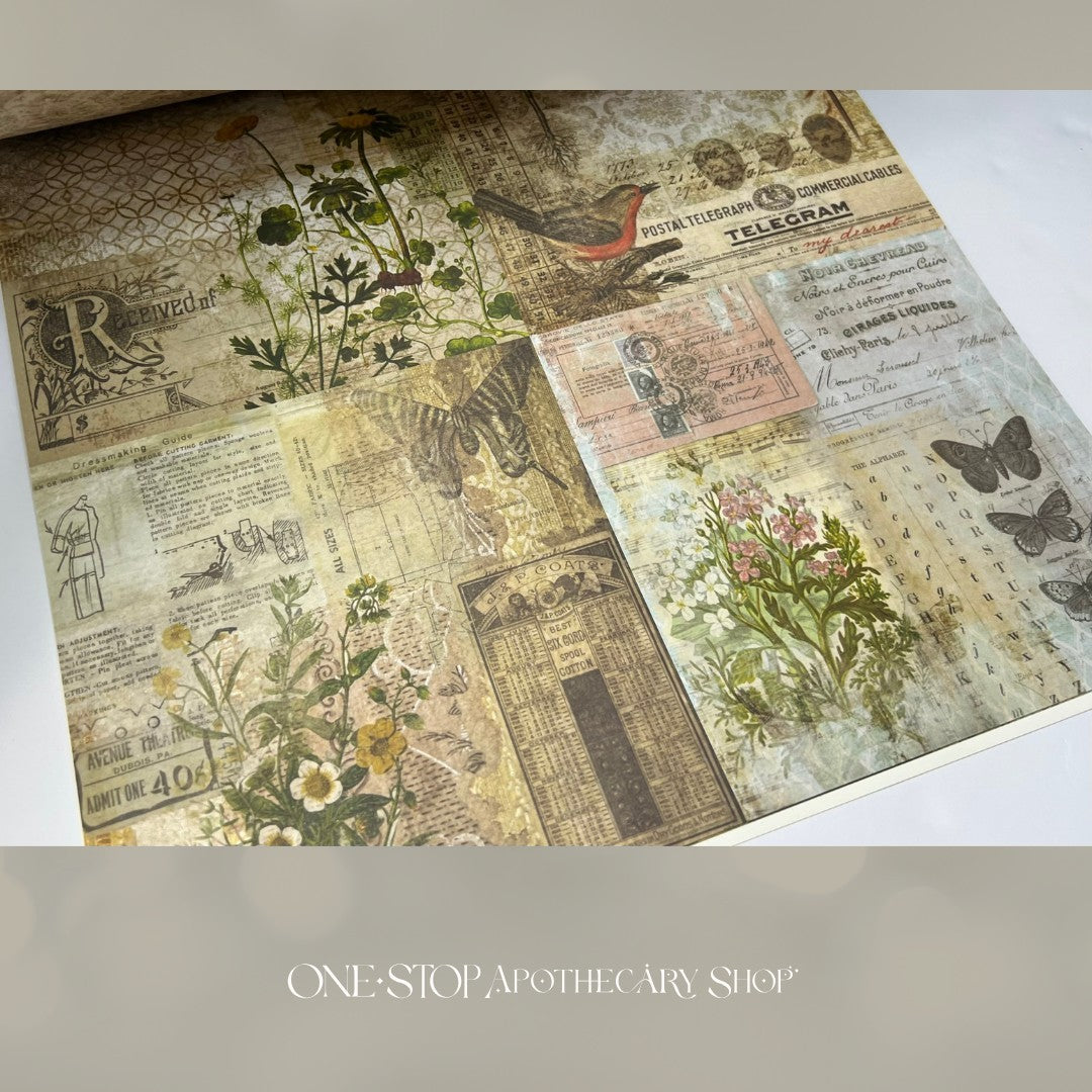 Tim Holtz WALLFLOWER Paper Stash Vellum Cardstock 12x12 Lot
