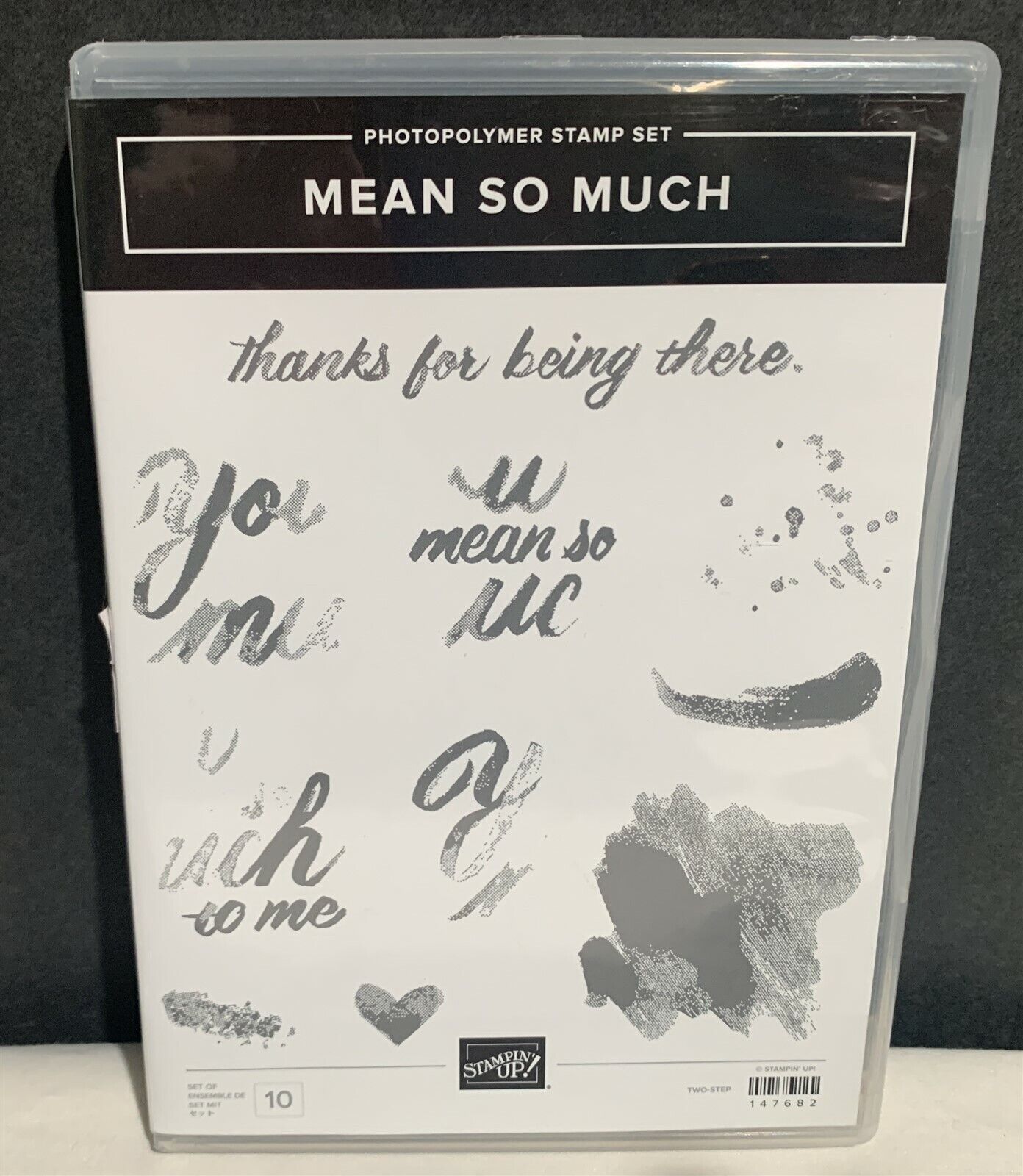 Stampin Up MEANS SO MUCH Words Saying Sentiment Rubber Stamps Set