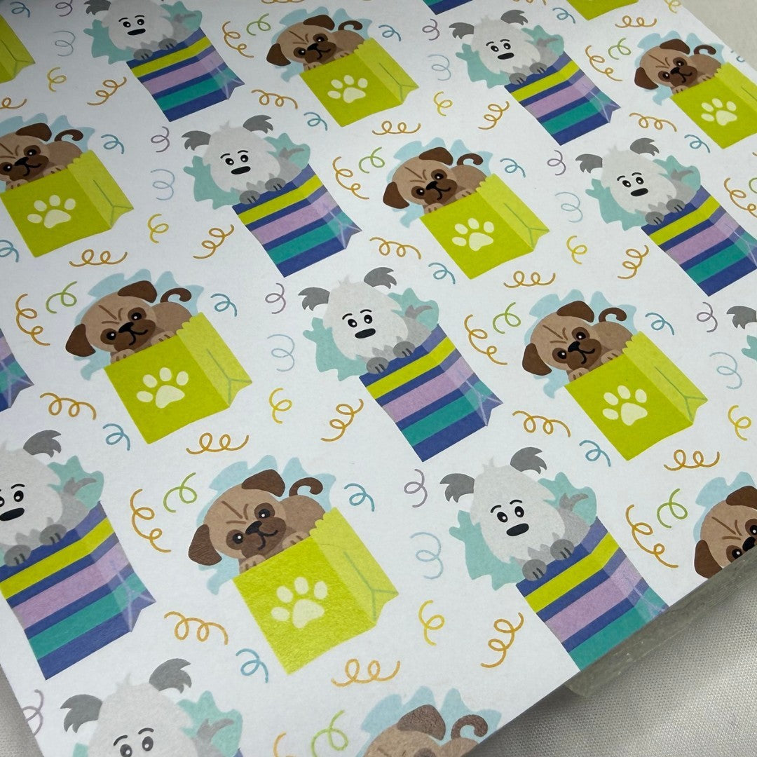 Newtons Nook DOG CAT Birthday 6x6 Paper Cardstock Packs Lot of 4