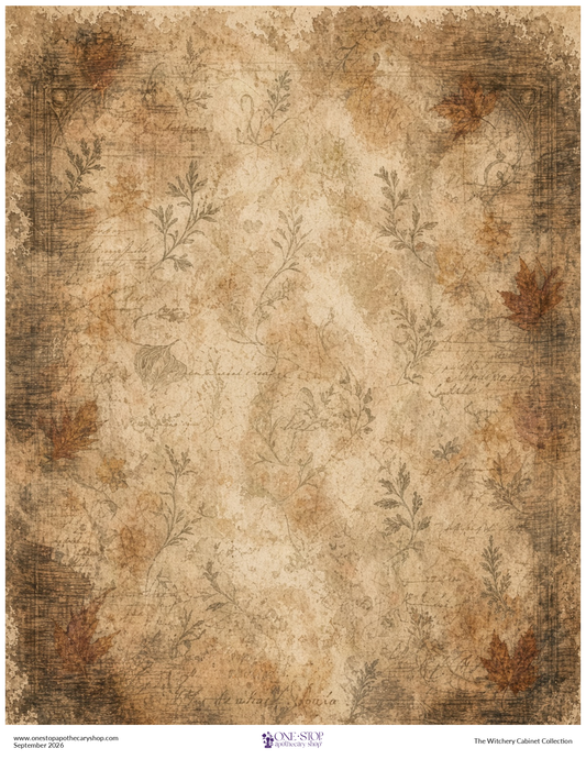 The Witchery Cabinet AGED GRIMOIRE Rice Paper