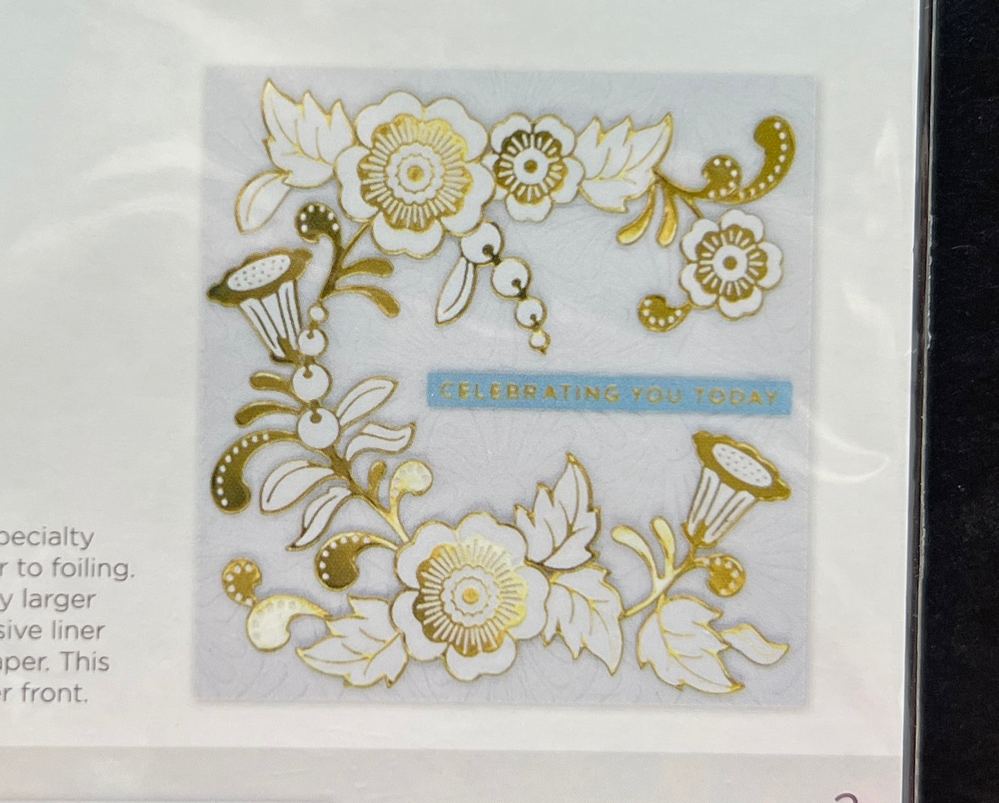 Spellbinders GLIMMER OF THE MONTH Stylized Floral Foil  Nov 2022